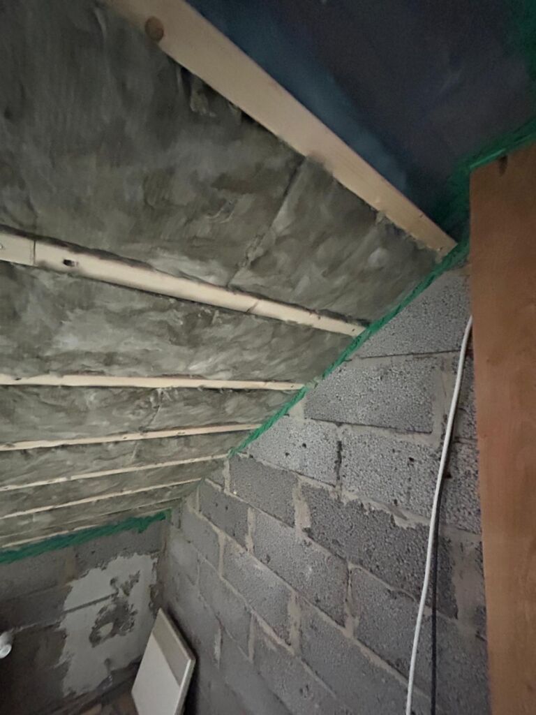 WhatsApp Image 2026-03-24 at 12.35